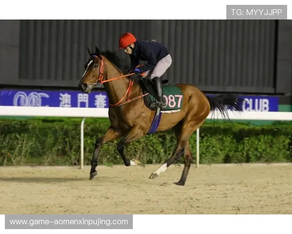 一站式澳门赛马资讯平台提供最权威的赛马赛事报道与分析